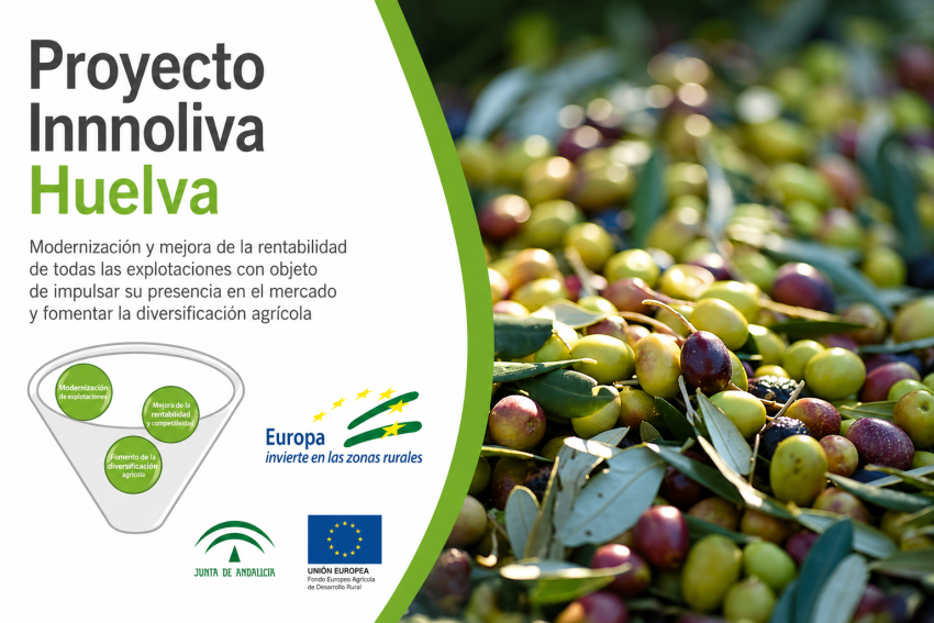 Proyecto Innoliva Huelva