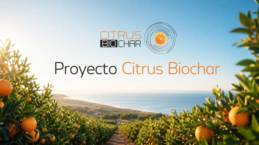 Proyecto Citrus Biochar