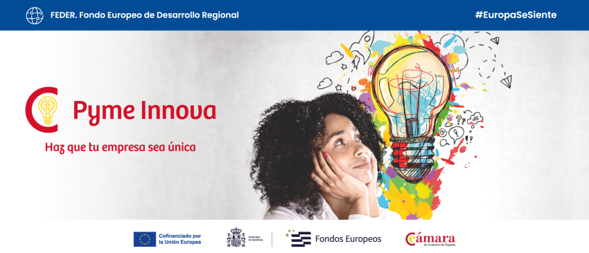 Proyecto Pyme Innova